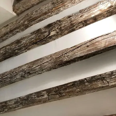 Lejlighed Rialto Regina Studium *