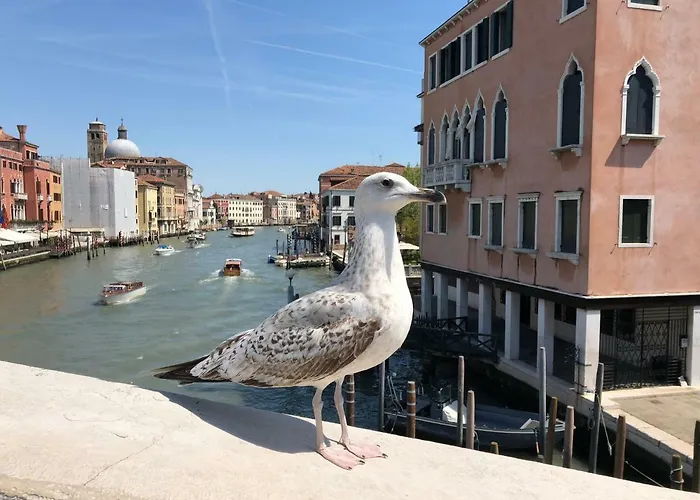 Rialto Regina Studium Apartamento Veneza