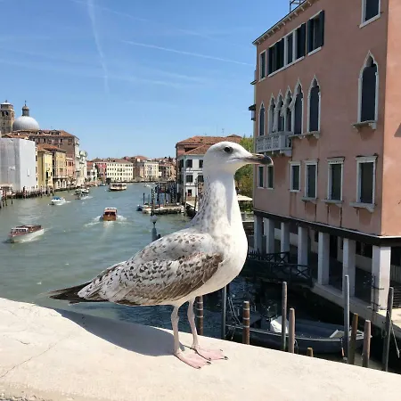 Rialto Regina Studium Apartament Wenecja