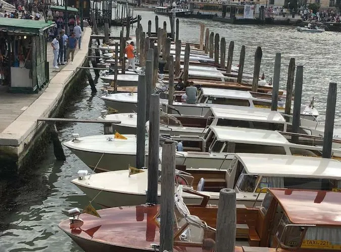 Rialto Regina Studium *