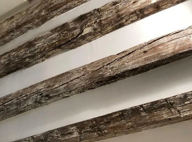 شقة Rialto Regina Studium *